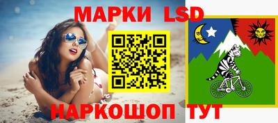тгк Бийск
