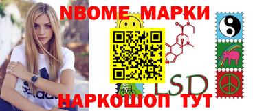 тгк Бийск