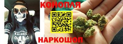 тгк Бийск