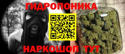 тгк Бийск
