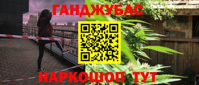 тгк Бийск