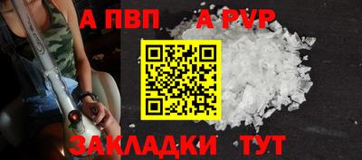 тгк Бийск