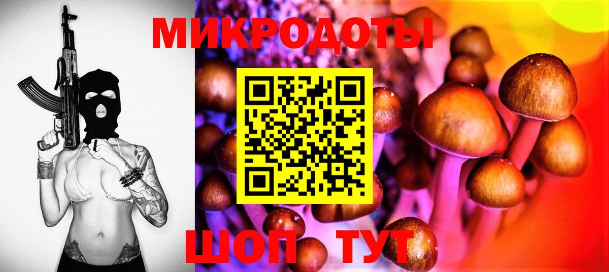 Галлюциногенные грибы мицелий Берёзовский