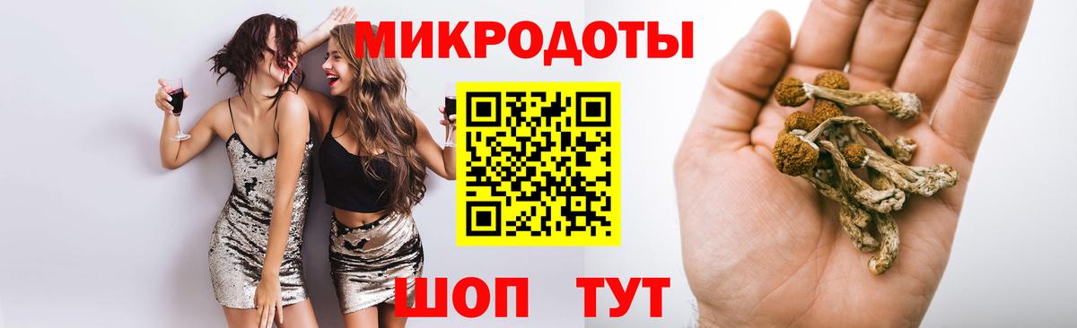 Галлюциногенные грибы MAGIC MUSHROOMS  Вход с VPN  Берёзовский 