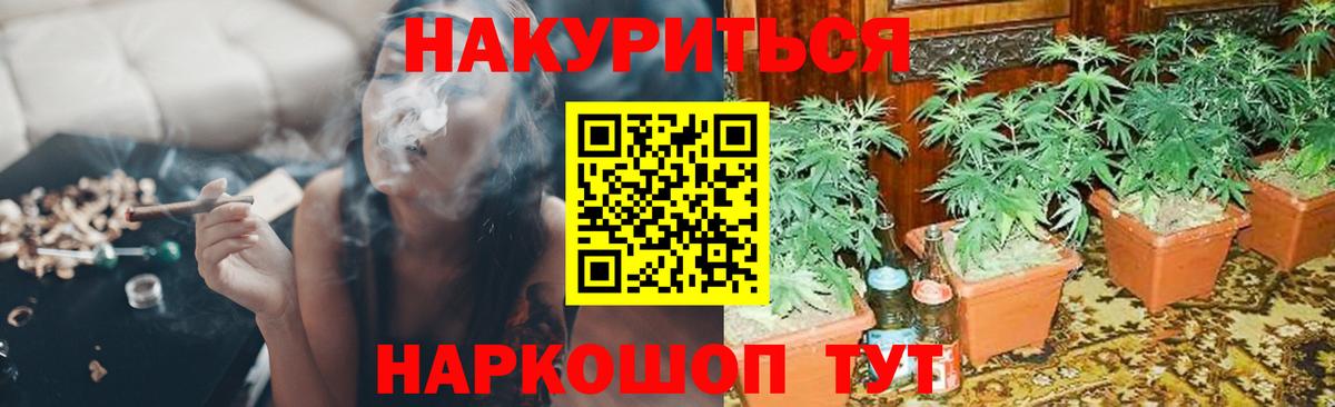 Марихуана планчик Берёзовский